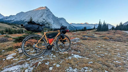 The Bike Frame Bag